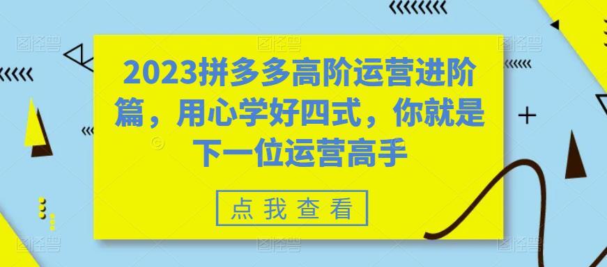 2023拼多多高阶运营进阶篇课程百度网盘