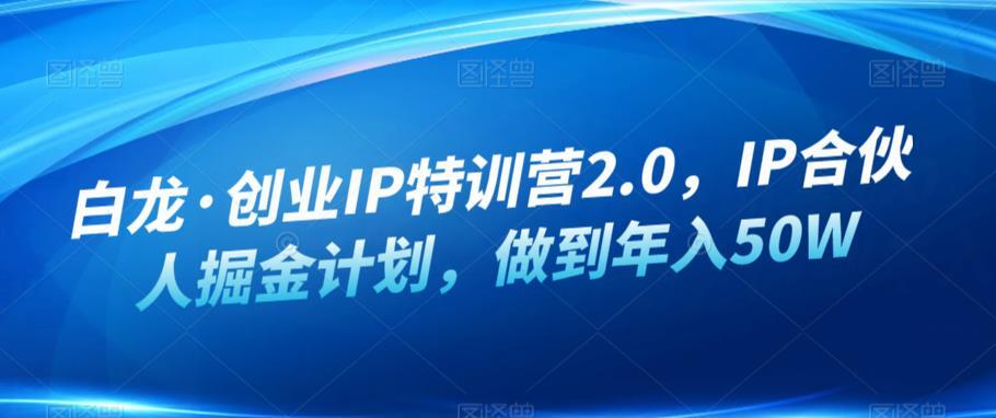 白龙·创业IP特训营2.0 ，IP合伙人掘金计划年入50W百度网盘