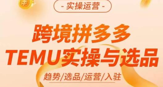 伍跃・跨境拼多多TEMU实操与选品，趋势/选品/运营/入驻百度网盘