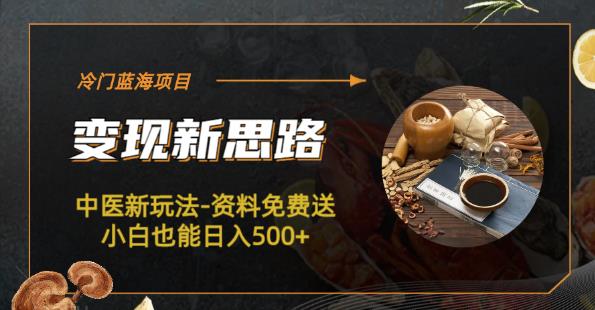 冷门蓝海项目-中医新玩法-资料免费送小白日入500百度网盘