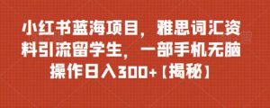 小红书蓝海项目雅思词汇资料引流留学生，0门槛操作日入300百度网盘插图