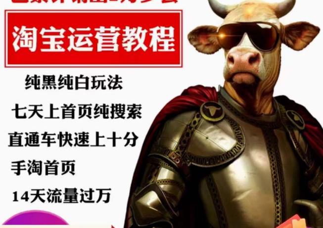 猫老师・淘系算法逆向解密，​纯黑纯白玩法七天上首页纯搜索百度网盘
