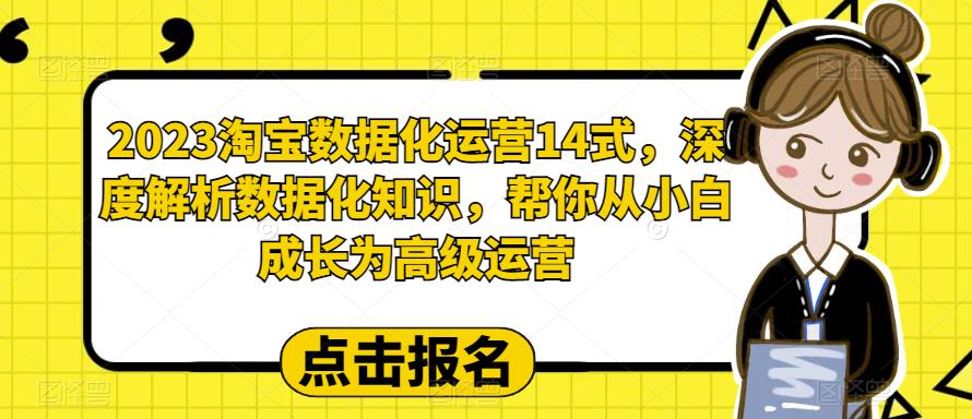 2023淘宝数据化运营14式，深度解析数据化知识，从小白成为高级运营百度网盘