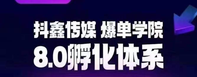 抖鑫传媒-爆单学院8.0孵化体系，运营一个稳定变现账号百度网盘