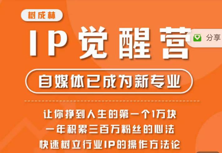 树成林・IP觉醒营，树立行业IP操作方法论，赚到人生第一个1万块百度网盘