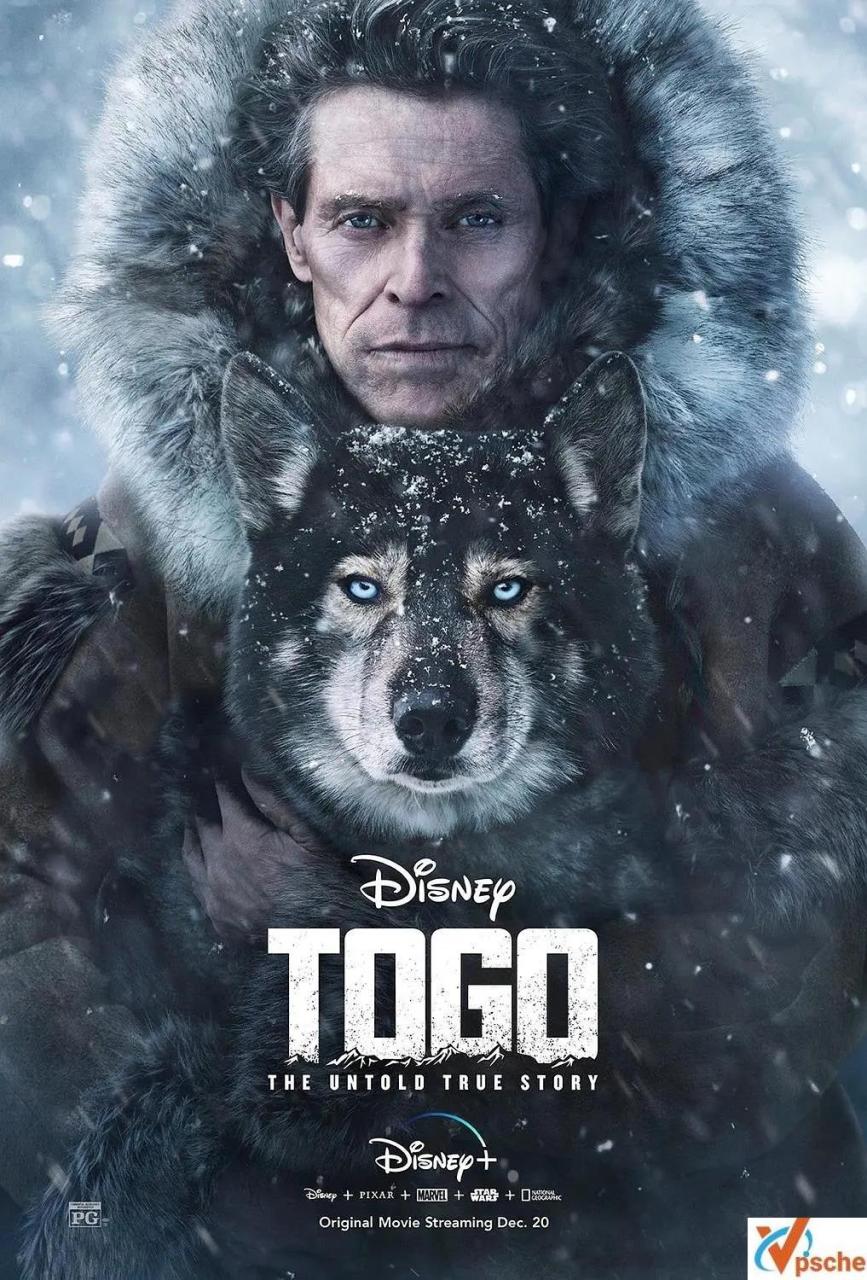 [亚洲电影]电影《多哥》(Togo (2019))高清英语中字[MP4/3.28GB]百度云网盘在线分享