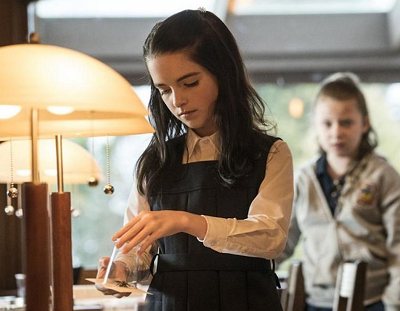 美国电影《坏种》2部高清英语中文字幕