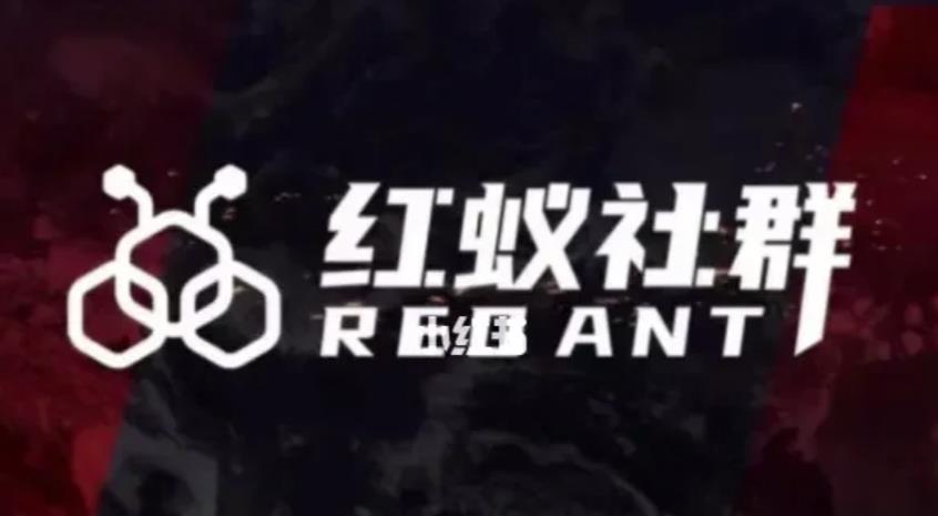 社群运营：红蚁社群【48节落地系统课+2000人社群】百度网盘