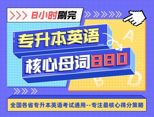 王无术8小时刷完专升本核心母词百度网盘