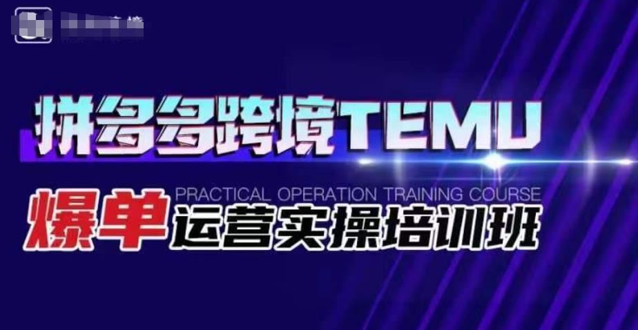 拼多多跨境TEMU爆单运营实操培训班，海外拼多多选品运营爆单百度网盘