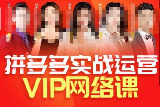 推易拼多多VIP直播课程，拼多多店铺实操+实战选款+直通车百度网盘