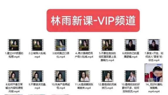 林雨新课VIP频道玩赚私域/朋友圈/社群百度网盘