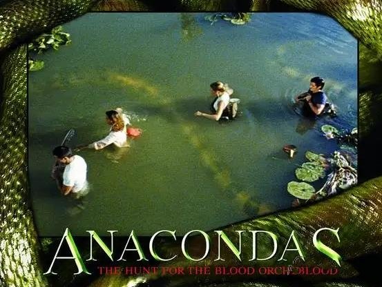 [欧美电影][1997-2009]《狂蟒之灾》系列四部合集[高清英语中字][百度云网盘+阿里云网盘分享][MKV/MP4/14.03GB]