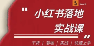 南悟・小红书医疗流量落地实战课百度网盘插图