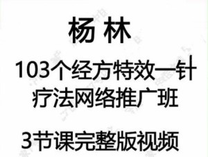 杨林103个经方特效一针疗法百度网盘