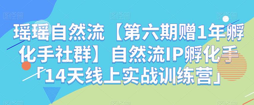 瑶瑶自然流第六期自然流IP孵化手「14天线上实战训练营」百度网盘