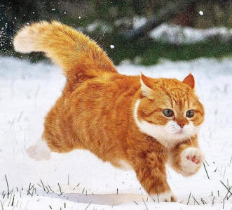 亲切第一张蕾C1第二期+色彩美学课程2022年百度网盘