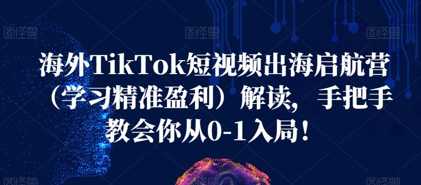 海外TikTok短视频出海启航营解读，学习精准盈利百度网盘