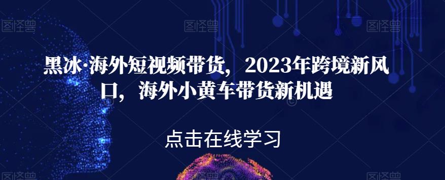 黑冰・海外短视频带货，2023年跨境海外小黄车带百度网盘