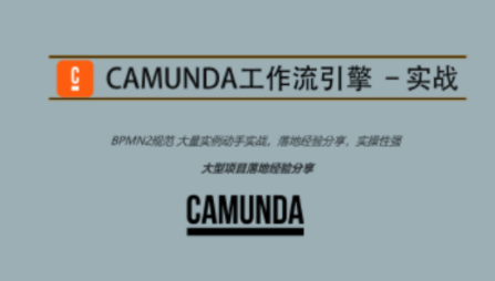 Camunda高级实战培训系列教程百度网盘
