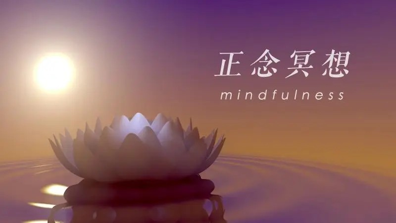 每日正念-童慧琦百度网盘