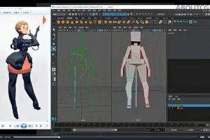太极人体造型核心培训班第二期（视频+素材）百度网盘