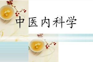 中医内科学：肖长虹南方医科大学（68讲完整版）百度网盘