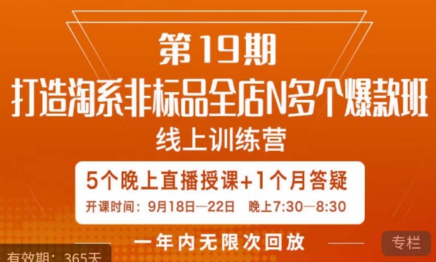 打造淘系非标全店N多个爆款5天线上直播课百度网盘