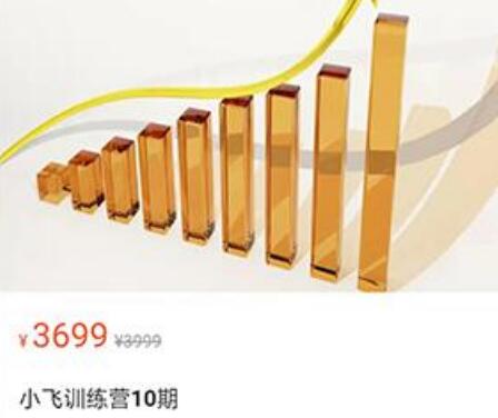 【小飞】原价3699元的《小飞训练营 第10期》百度网盘