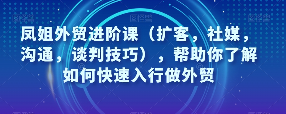 凤姐外贸进阶课（扩客，社媒，沟通，谈判技巧）快速入行外贸百度网盘