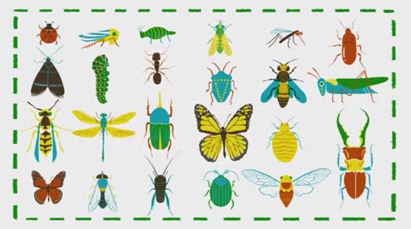 Awesome Nature:了不起的自然科普系列动画百度网盘