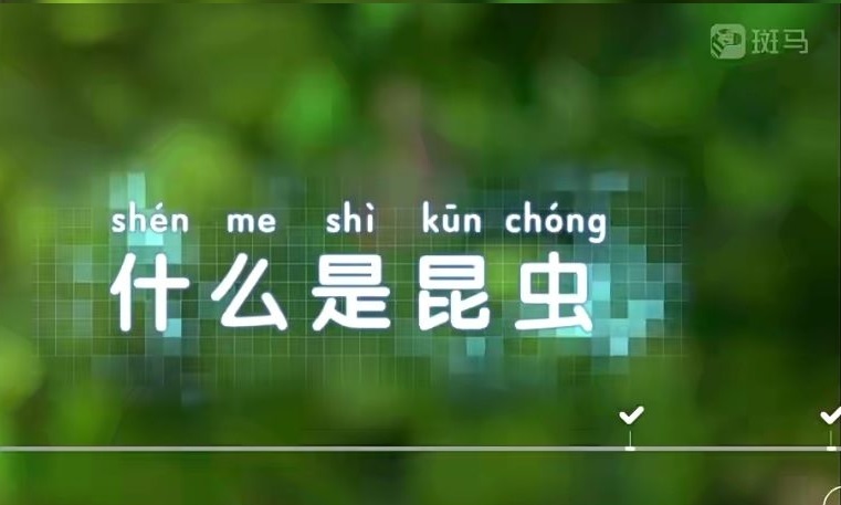 基于孩子思维模式科普《斑马百科》科学探究世界百度网盘