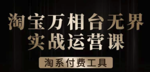 沧海・淘系万相台无界实战运营课，万相台案例解析百度网盘插图