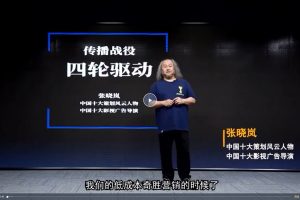 张晓岚-低成本营销，打一场漂亮的营销传播战百度网盘