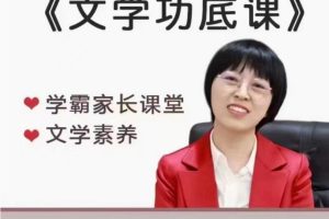 择言老师-文学功底课百度网盘