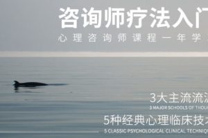 心理咨询技术与疗法入门百度网盘