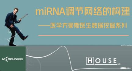 数据挖掘―miRNA调节网络的构建百度网盘