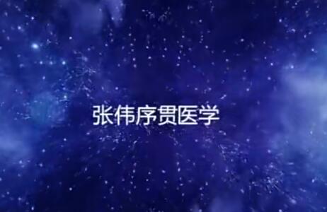 张伟序贯平衡量变针灸百度网盘