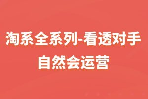 淘系全系列-看透对手，自然会运营百度网盘