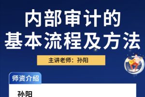 中华会计网校孙阳：内部审计方法及流程百度网盘