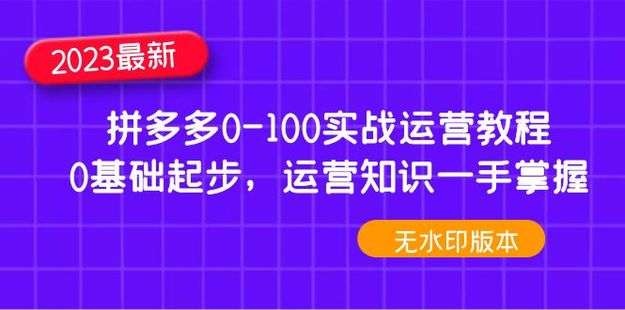 【电商上新】049.2023拼多多0-100实战运营教程