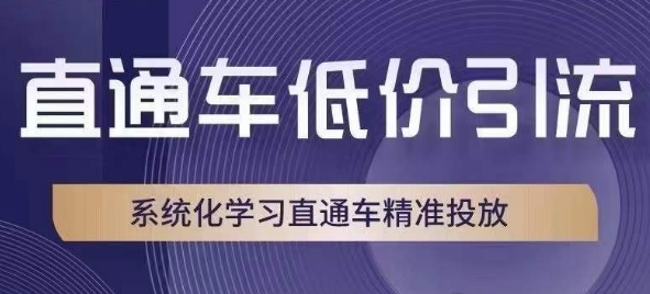 直通车低价引流课，系统化直通车精准投放百度网盘