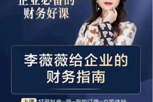 李薇薇给企业的财务指南百度网盘
