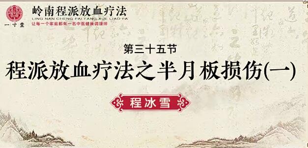 程冰雪岭南程派放血疗法（专业课）百度网盘