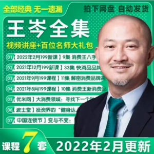 王岑8套课程合集百度网盘分享插图