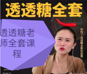透透糖12套课程合集百度网盘插图