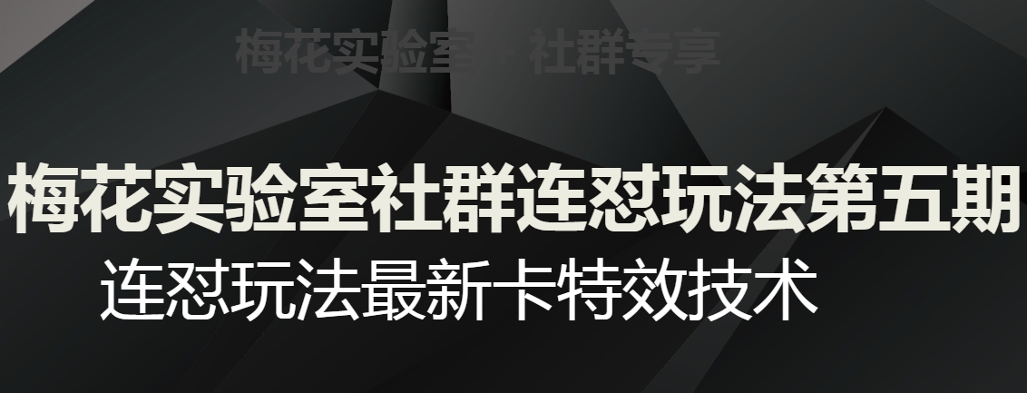 梅花实验室社群连怼玩法第五期，视频号连怼卡特效技术百度网盘