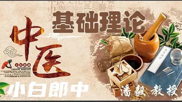 【潘毅】淍昜与中医（视频）百度网盘