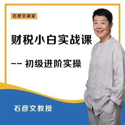 财稅小白实战课 财务会计实操【石彦文讲财税】_石彦文讲财税百度网盘