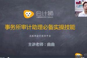 四大审计经理讲审计助理实操视频百度网盘